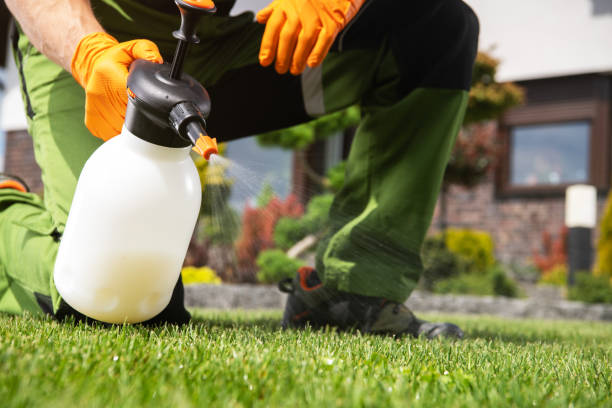 Best Bed Bug Extermination  in Canyon, TX