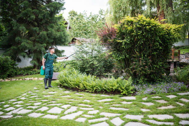 Best Pest Removal Services  in Canyon, TX